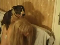 On the couch, a horny dog and his owner are engaging in extreme beastiality.